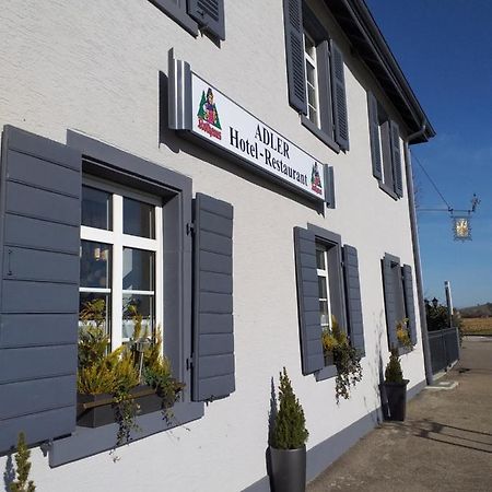 Hotel Landgasthof Adler Bad Krozingen Ngoại thất bức ảnh